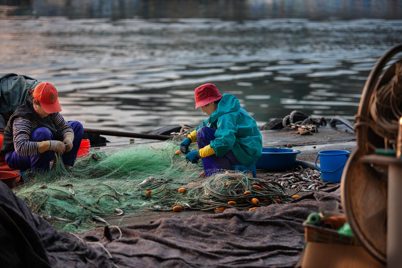 fishing net, fisherman, fishing-4887070.jpg